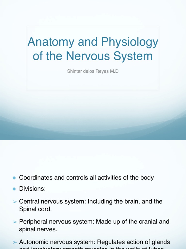 Cns Anatomy and Physiology 2 Biology Diagrams