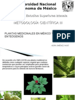 Plantas Medicinales en Mexico