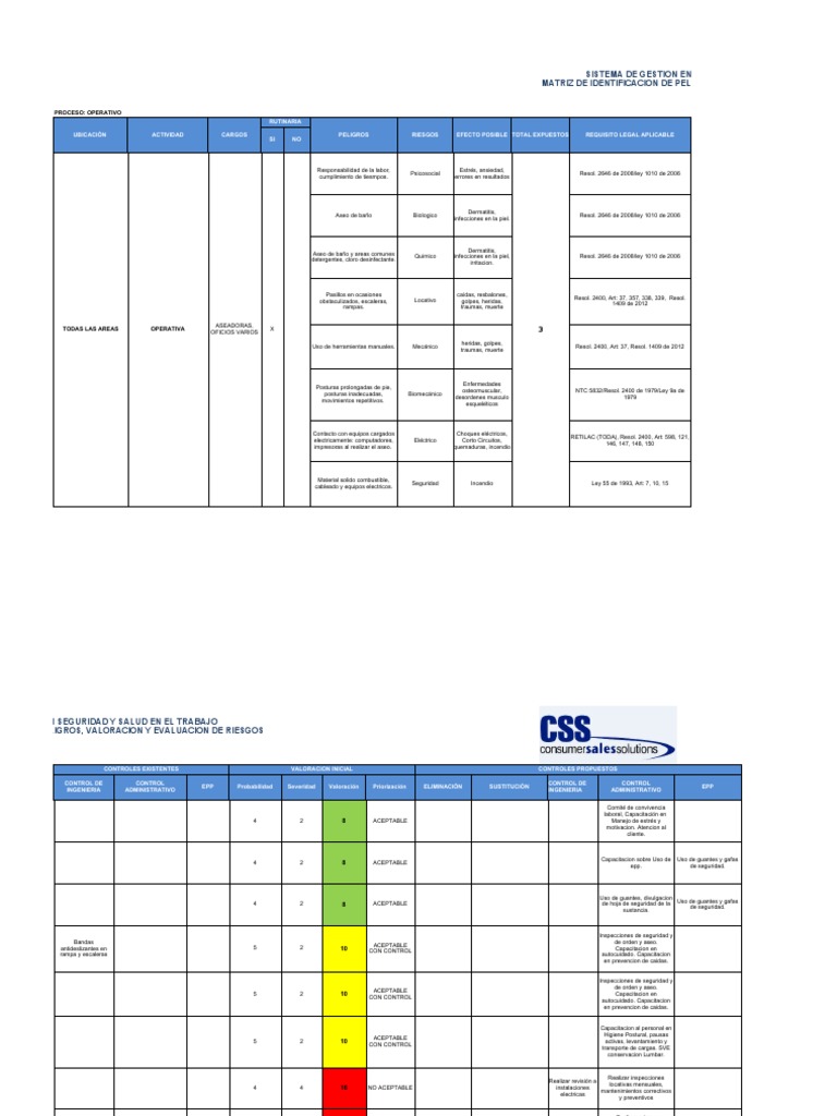 Matriz de Riesgos y Controles SST | PDF | Higiene | Medicina CLINICA