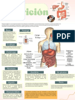 Proceso de Nutrición (Básico)