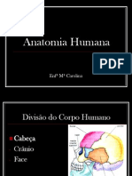 Anatomia Humana