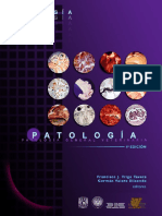 Patologia - Trigo 4° Pigmentación Endógena y Exógena