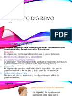 Digestivo2 Anatomofisiología y Patología Básicas (AAO)