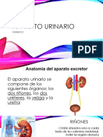 Aparato Urinario Anatomofisiología y Patología Básicas (AAO)