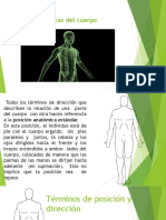Unidad 1.2 Planos y Regiones Anatómicas, Posiciones Del Paciente Anatomofisiología y Patología Básicas (AAO)