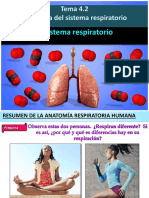 Ut4.2 Sistema Respiratorio