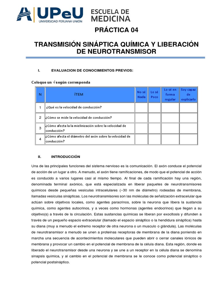 Práctica: Transmisión Sináptica | PDF | Sinapsis | Sinapsis química
