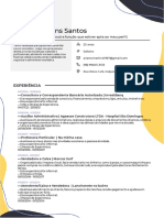 Currículo - Ariane Martins Dos Santos 