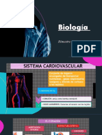 Biología Sistema Cardiovascular