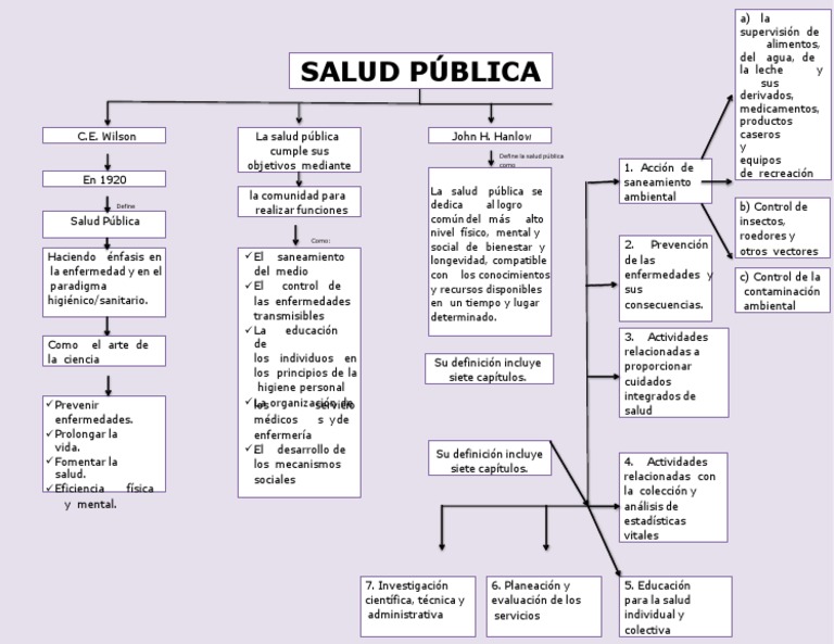 Mapa Conceptual de La Salud Publica 4 | PDF | Salud pública | Cuidado ...