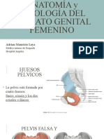 Anatomia y Fisiología Del Aparato Reproductor Femenino