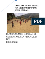 Informe de Plan de Riesgo Cerro Chino 2023