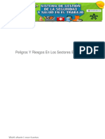 Peligros y Riesgos en Los Sectores Economicos