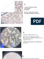 Simulado de Histologia Tecido Sanguíneo, Órgãos Linfoides, TCDPD