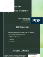 Presentacion Ciencias Naturales Anibal Soto