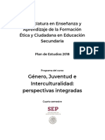 Género, Juventud e Interculturalidad, Plan de Trabajo