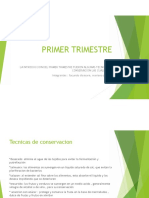 PDF de Industria