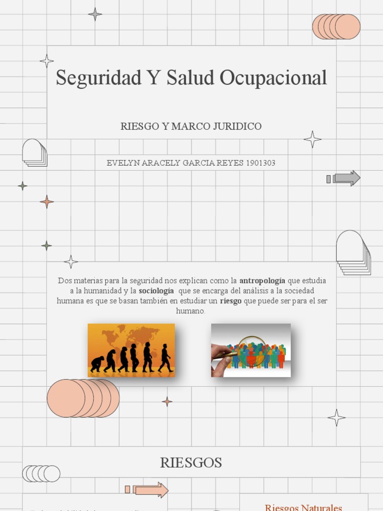 Seguridad Y Salud Ocupacional Pdf