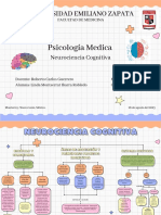 Neurociencia Cognitiva-LMIR