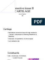 Connective Tissue II