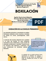 Carboxilación Equipo 2