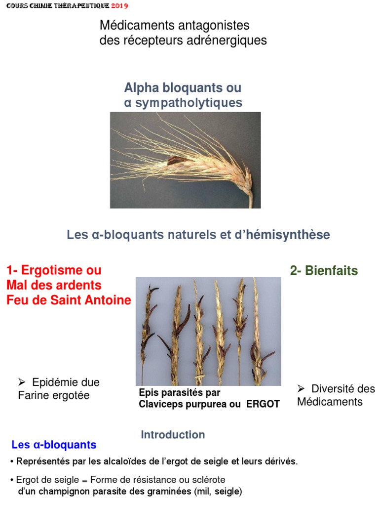 Chap 3 Alcaloïdes de L'ergot | PDF