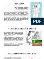 Virus Del Dengue-Parte 1