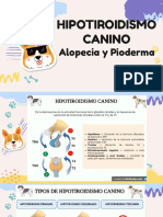 Hipotiroidismo Canino