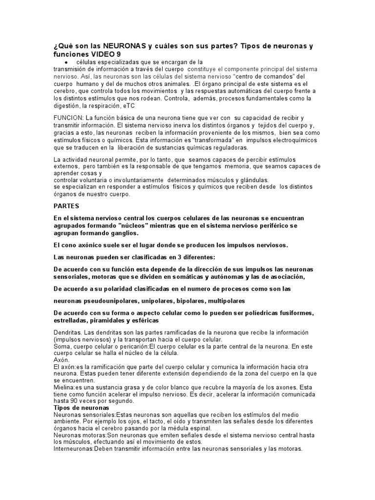 Partes y funciones de las neuronas | PDF | Neurona | Sistema nervioso