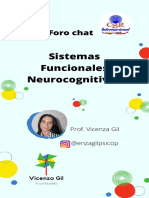 Sistemas Funcionales Neurocognitivos
