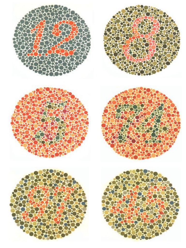 Ishihara Test | PDF