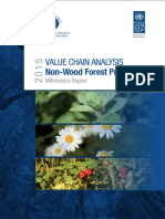 Value Chain Analysis - Non Wood Forest Products