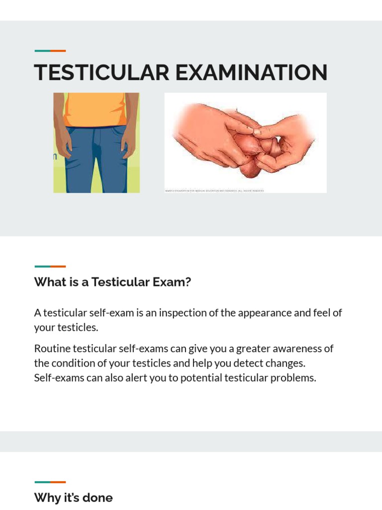 Testicular Examination | PDF