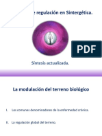 La Terapia de Regulación en Sintergética