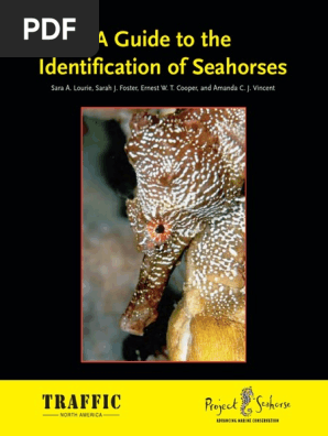 A Guide to the Identification of Seahorses (1)