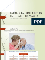 Patologías Frecuentes en El Adulto Mayor