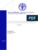 Annexe 8 Rapport Socioéconomie Mission FAO