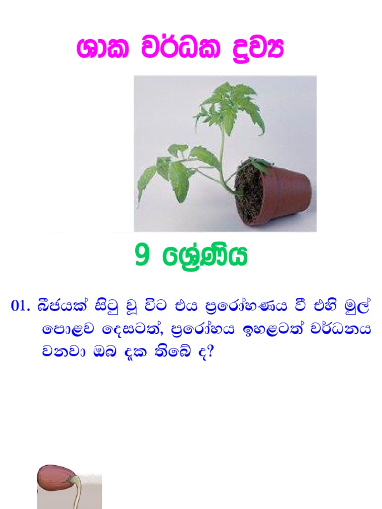 Prabasansleshanaya Overview | PDF