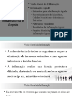 Aula 6 Inflamação