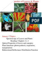 Lecture 3-Leaves Plants