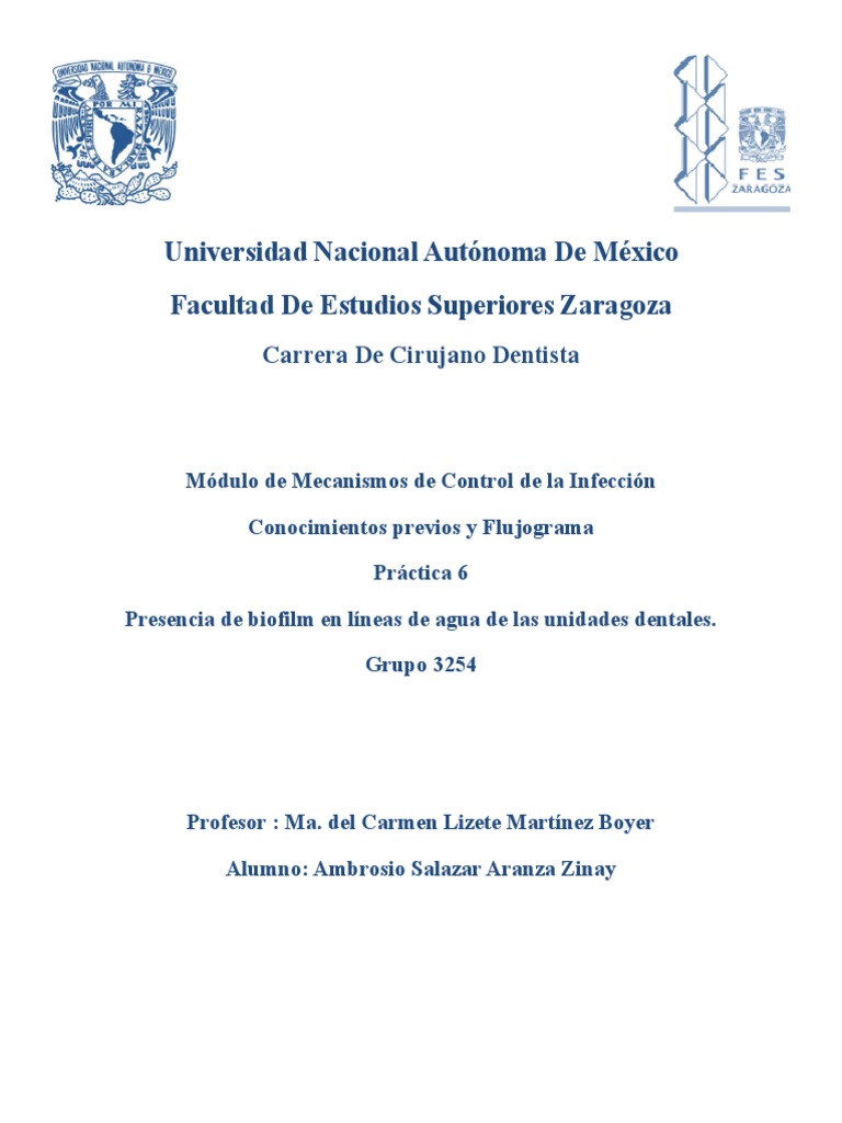 Practica 6 Liz | PDF