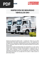Fases Del Atropellamiento Típico o Completo | PDF | Cinturón de