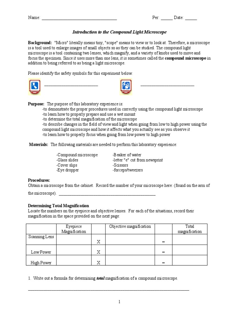 Intro Compound Light Microscope PDF