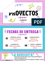 Proyectos - Iii B