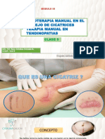Terapia Manual en Cicatrices y Tendinopatias