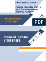 1 Proceso Pericial VF