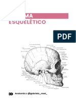 Generalidades Anatomía - Composición Sistema Esquelético