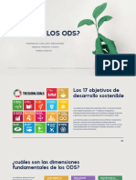 ¿Qué Son Los Ods?: Asignatura: Producción y Entorno Presentado Por: Lucas Lucero / Isidora González