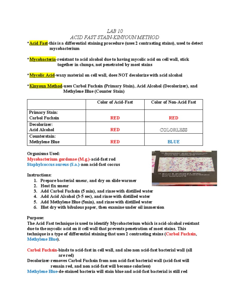 Lab 10 | PDF