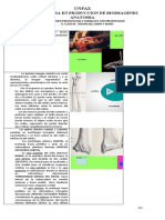 B.clase 04. Region Del Carpo y Mano DR Debut PDF